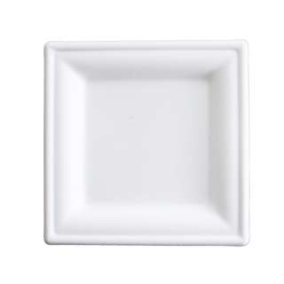 eco u 8 Inch Sugarcane Square Plates Disposable Biodegradable