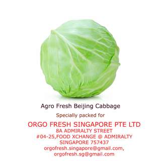 Agro Fresh Beijing Cabbage
