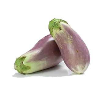 Orgo Fresh Malaysian Round Brinjal