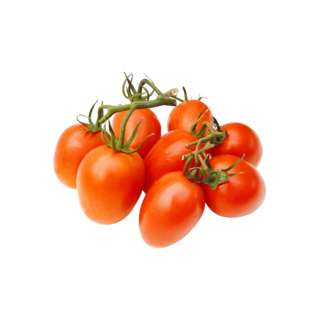 Vegeponics Premium Cherry Tomato