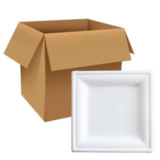 eco u 10 Inch Sugarcane Square Plates & Disposable (Carton)