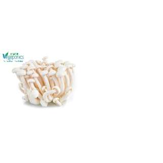 Vegeponics White Shimeiji Mushroom