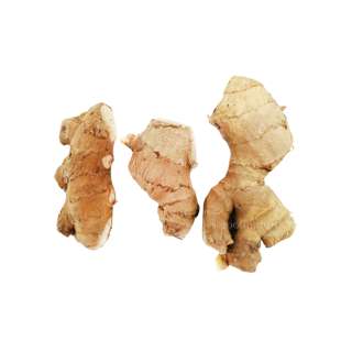 ZENXIN Organic Ginger