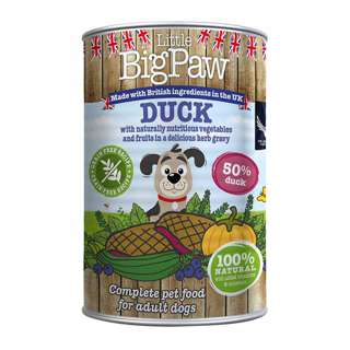 Little Big Paw Duck - Blueberries, Courgette, Pumpkin (Hypo)