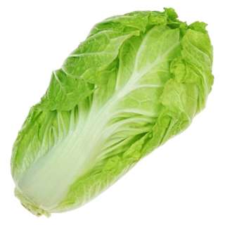 Orgo Fresh Long Cabbage Wong Bok