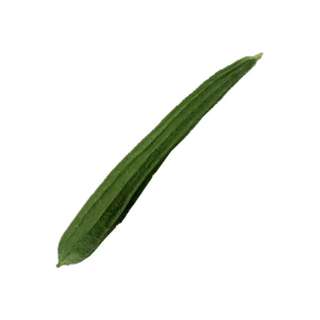 Orgo Fresh Malaysian Luffa Gourd