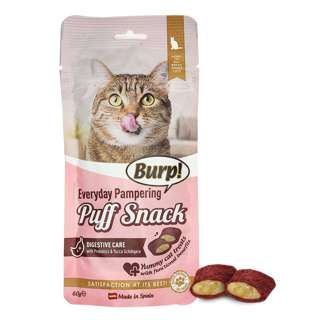 Burp Everyday Pamper Puff Snack (Digest Care)