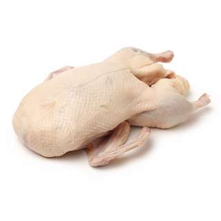 Master Grocer Whole Duck 2.5kg Fresh Frozen