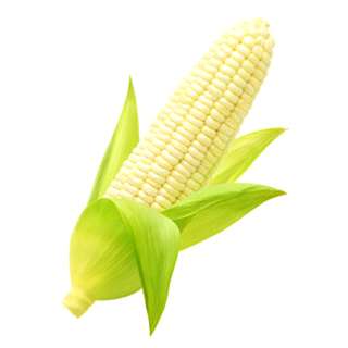 Orgo Fresh Sweet Royal Corn large Juicy with big kernels