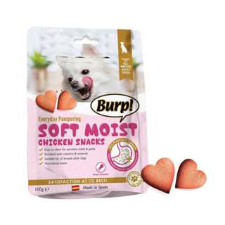 Burp Everyday Pamper Soft Moist Chicken Snack