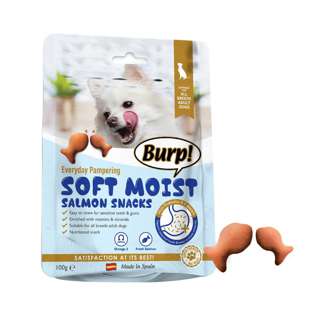 Burp Everyday Pamper Soft Moist Salmon Snack