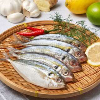 Ken Ken Kuning Fish - Frozen