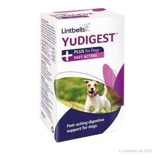 Lintbells Yudigest Plus Fast Acting Digestive