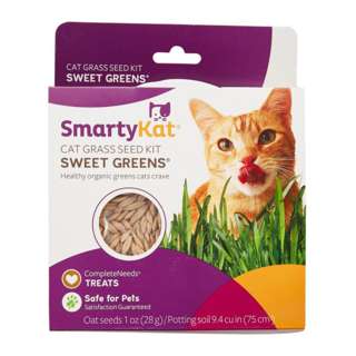 Smartykat Cat Grass Kit-Sweet Greens Kit Smartykat Cat Grass Kit-Sweet Greens Kit
