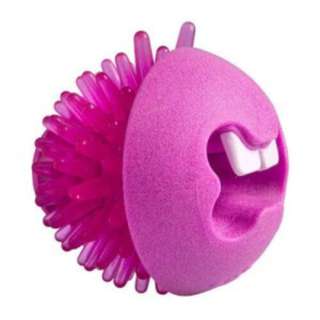 Rogz Fred TPR Treat Ball (Pink)(Medium)(6.4cm)