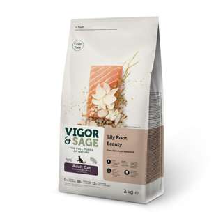 Vigor & Sage Lily Root Beauty - Salmon For Cat