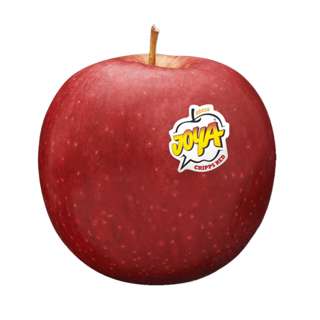 Orgo Fresh South African Cripsy Red Apple