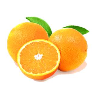 Orgo Fresh Egypt Seedless Noval Orange (Large)
