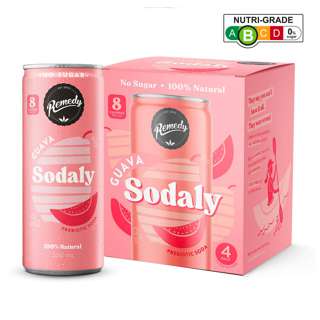 Remedy Drinks Organic Sodaly - Guava