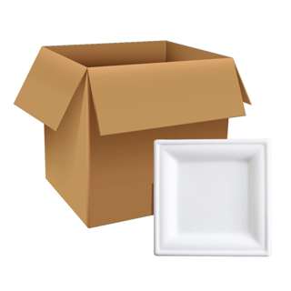 eco u 6 Inch Sugarcane Square Plates Biodegrable (Carton)