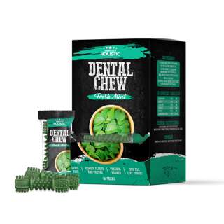 Absolute Holistic Dental Chew For Dogs - Mint