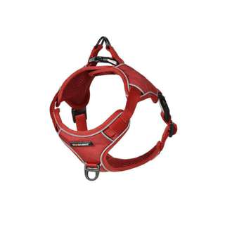 Dogness Reflect Harness (Red) (X-Small/Small) Dogness Reflect Harness (Red) (X-Small/Small)