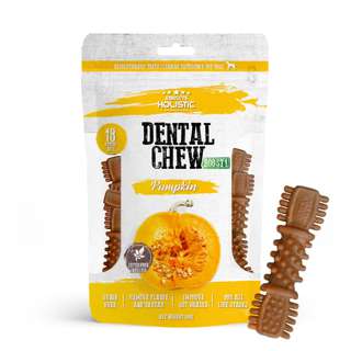 Absolute Holistic Pumpkin Boost Dental Chew for Dogs