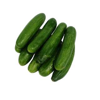 Yuan Zhen Yuan Lebanese Cucumber