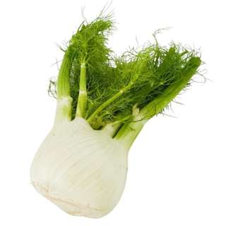 Yuan Zhen Yuan Fennel