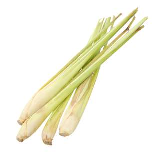 Orgo Fresh Malaysian Lemon Grass