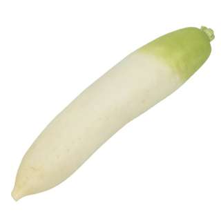 Yuan Zhen Yuan Japanese Radish (Daikon)