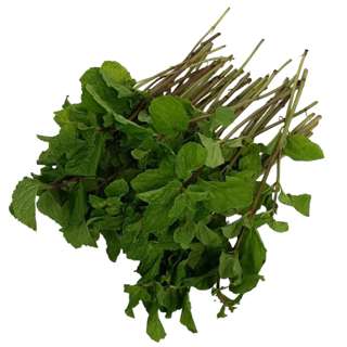 Yuan Zhen Yuan Mint Leaf