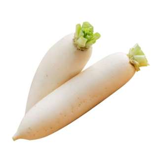 Agro Fresh White Radish Agro Fresh White Radish