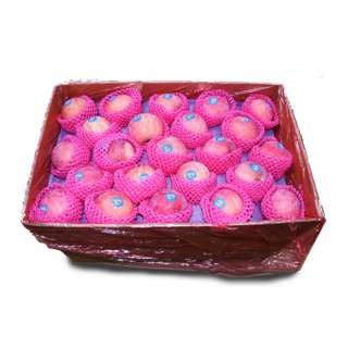 YayaPapaya Apple Red Fuji China (100-113c, 17KG) Carton