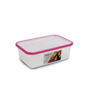 OMADA Sanaliving 2L Flat antibacterial container - fushia