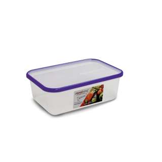 OMADA Sanaliving 2L Flat antibacterial container - purple