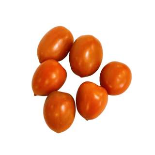 Yuan Zhen Yuan Roma Tomato