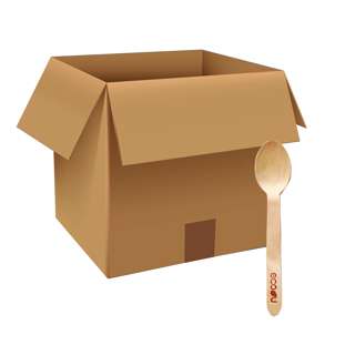 eco u Premium Wooden Spoons Bio Partyware Cutlery (Carton)
