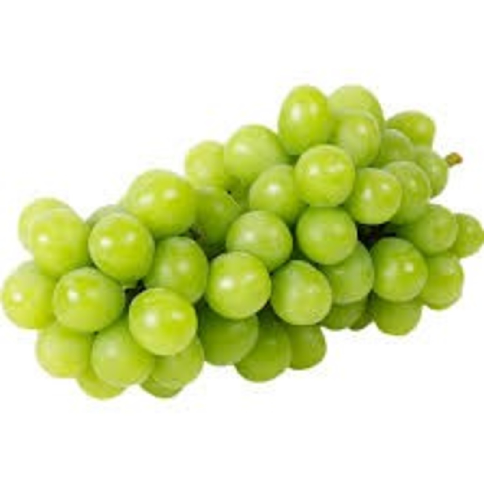 China Shine Muscat
