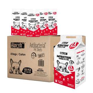 Absorb Plus Antibacterial Pee Pad For Dogs(S Size),Carton