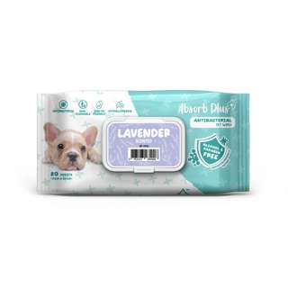 Absorb Plus AntiBacterial Pet Wipes - Lavender