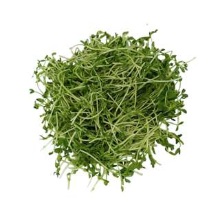 Yuan Zhen Yuan Pea Shoots (Dou Miao)