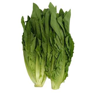 Yuan Zhen Yuan Yu Mak Chye