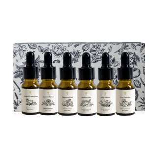 Pristine Aroma Concentrate - Hotel 6 Pack