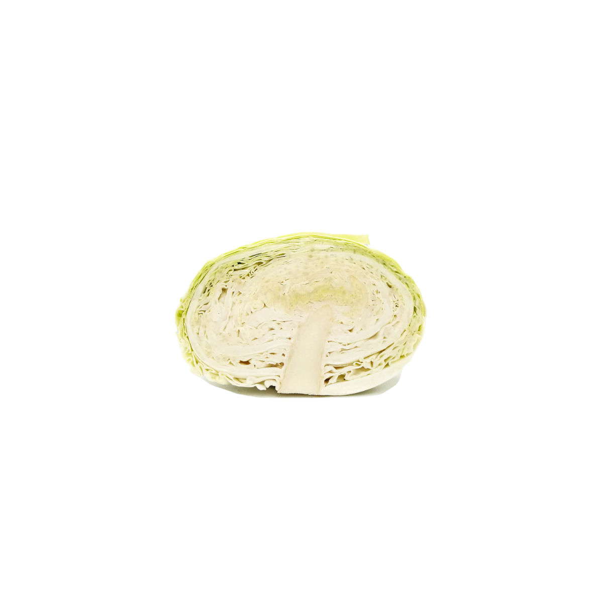 ZENXIN Organic Cabbage