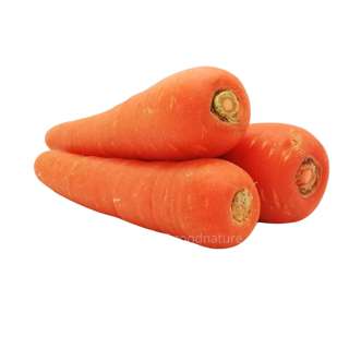 ZENXIN Organic Carrot