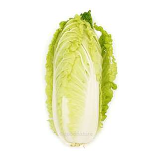 ZENXIN Organic Chinese Cabbage ZENXIN Organic Chinese Cabbage
