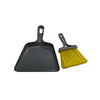 Apex Dustpan With Brush