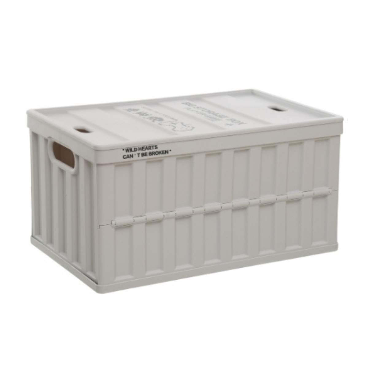Citylife 64L Collapsible Car Storage Box (Light Grey) | NTUC FairPrice
