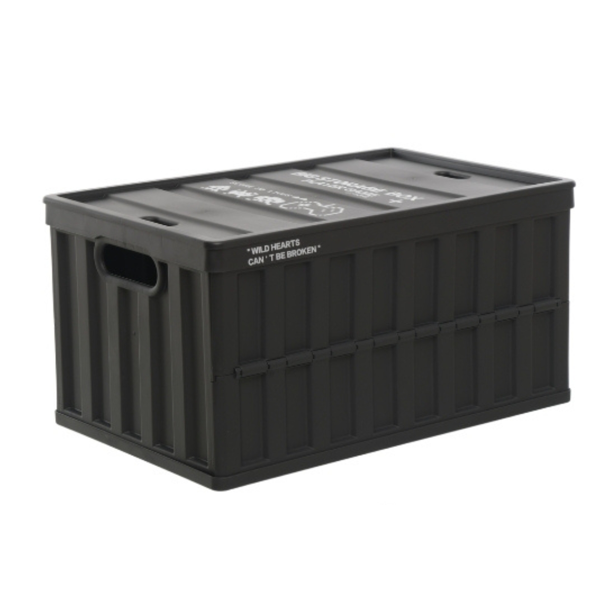 Citylife 64L Collapsible Storage Box Crate (Black) | NTUC FairPrice
